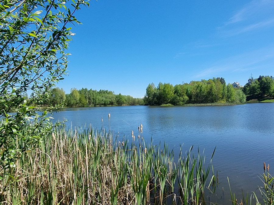 Prywatne jezioro - działka 6.15 ha Ulkowy.
