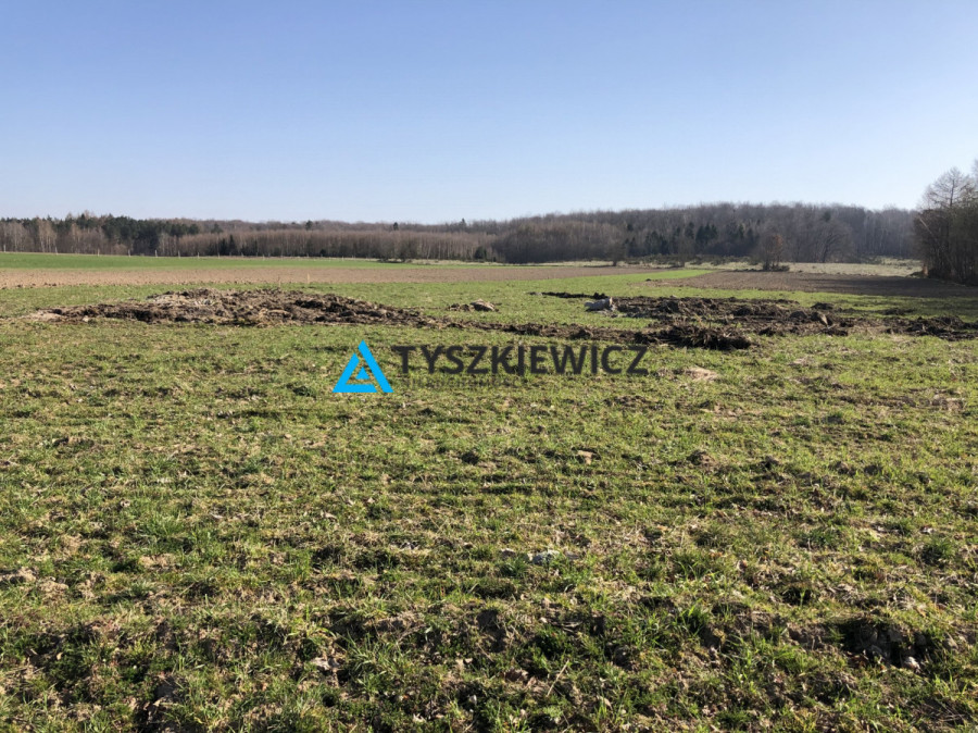 Działki siedliskowe - 10km od trasy Kaszubskiej: zdjęcie 92087066