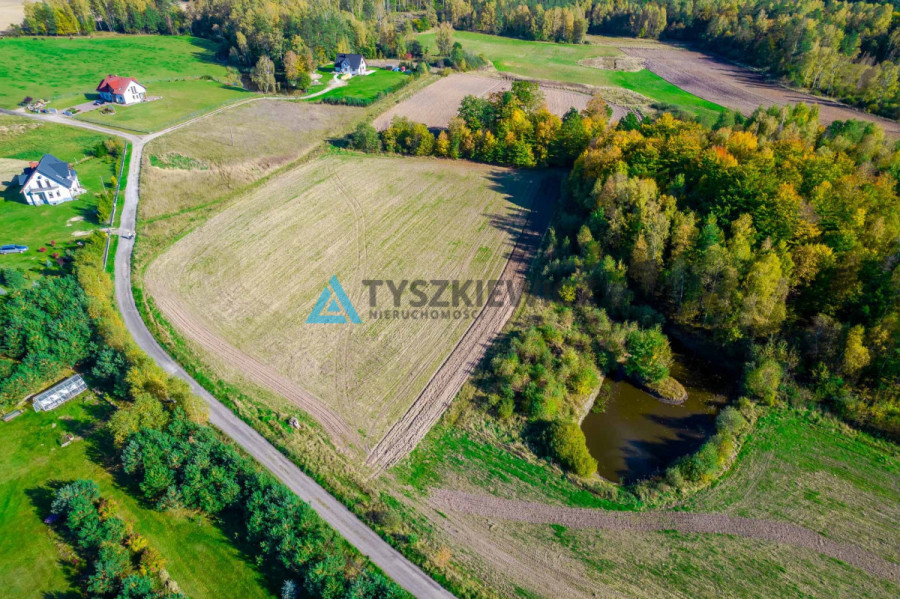 Atrakcyjna działka Śledziowa Huta 4000 m2: zdjęcie 92086253