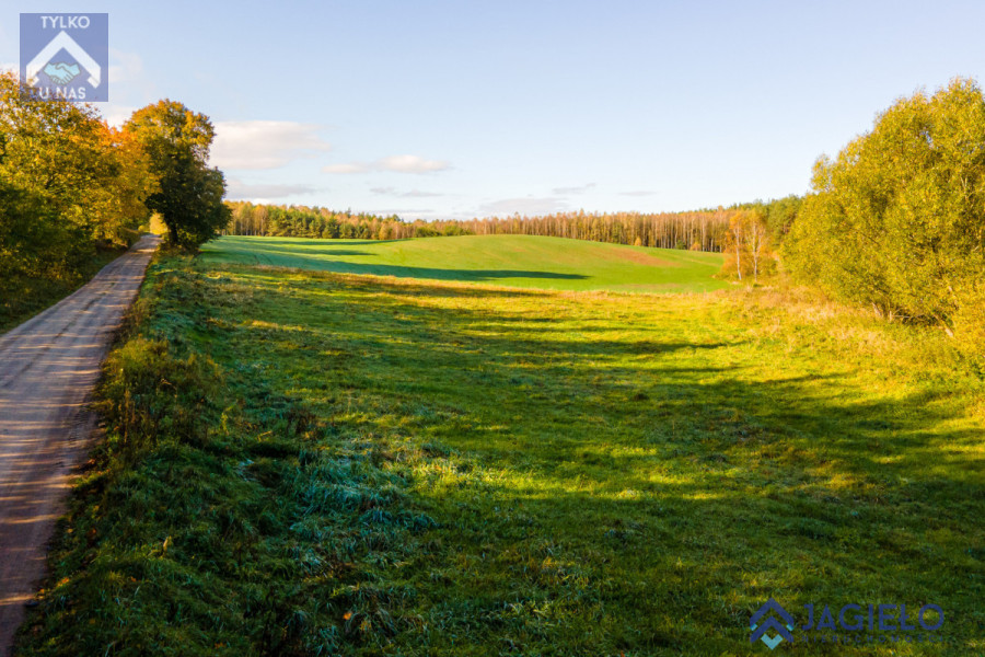 Działka (Rolna) - Szczodrowo: zdjęcie 92781869