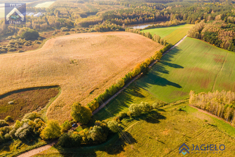 Działka (Rolna) - Szczodrowo: zdjęcie 92781876