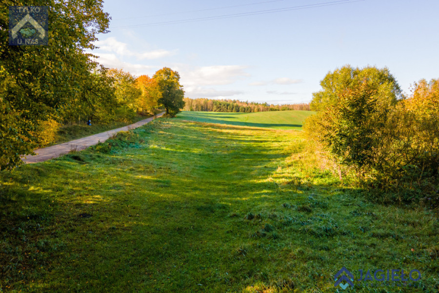 Działka (Rolna) - Szczodrowo: zdjęcie 92781867