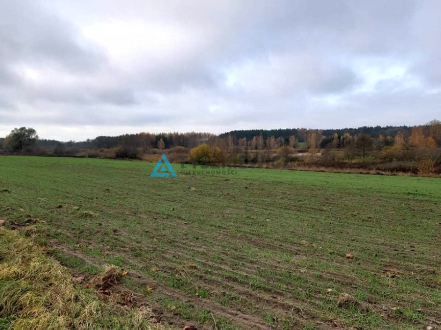 Działki 15km od Starogardu Gdańskiego: zdjęcie 92087336