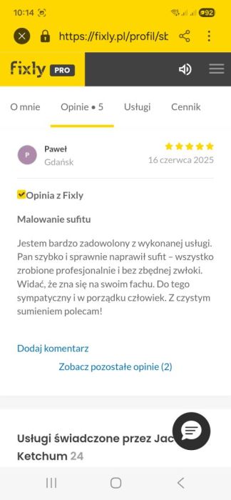 Malarz-szpachlarz,panele podłogowe: zdjecie 98203987