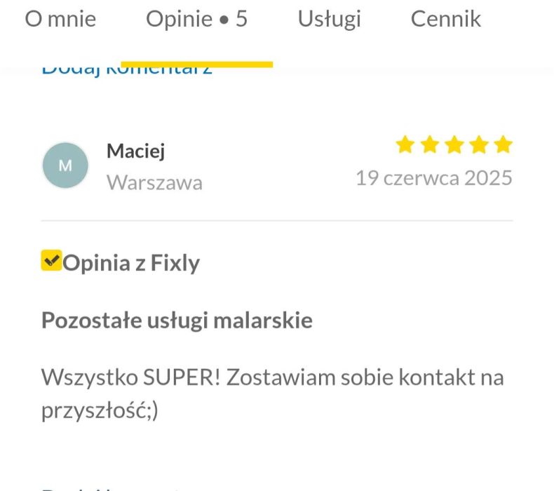 Malarz-szpachlarz,panele podłogowe: zdjecie 98203989
