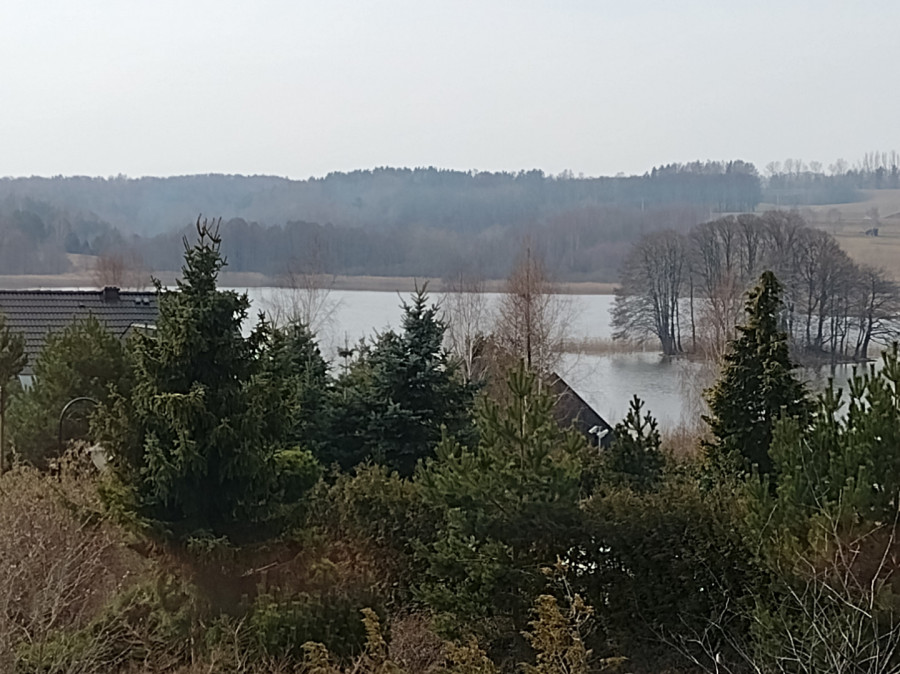 Dom wolnostojący blisko jeziora w Dobrzewinie: zdjęcie 88921839