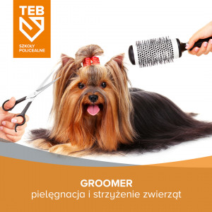 Groomer - pielęgnacja i strzyżenie zwierząt w TEB Edukacja w Gdyni