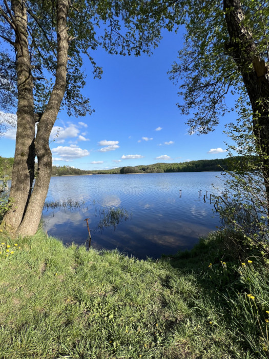 Okazja! Działka z widokiem na jezioro Ostrzyckie. Warunki zabudowy.: zdjęcie 89165756