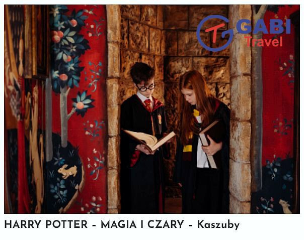 Harry Potter - Magia i Czary: zdjęcie 91025549