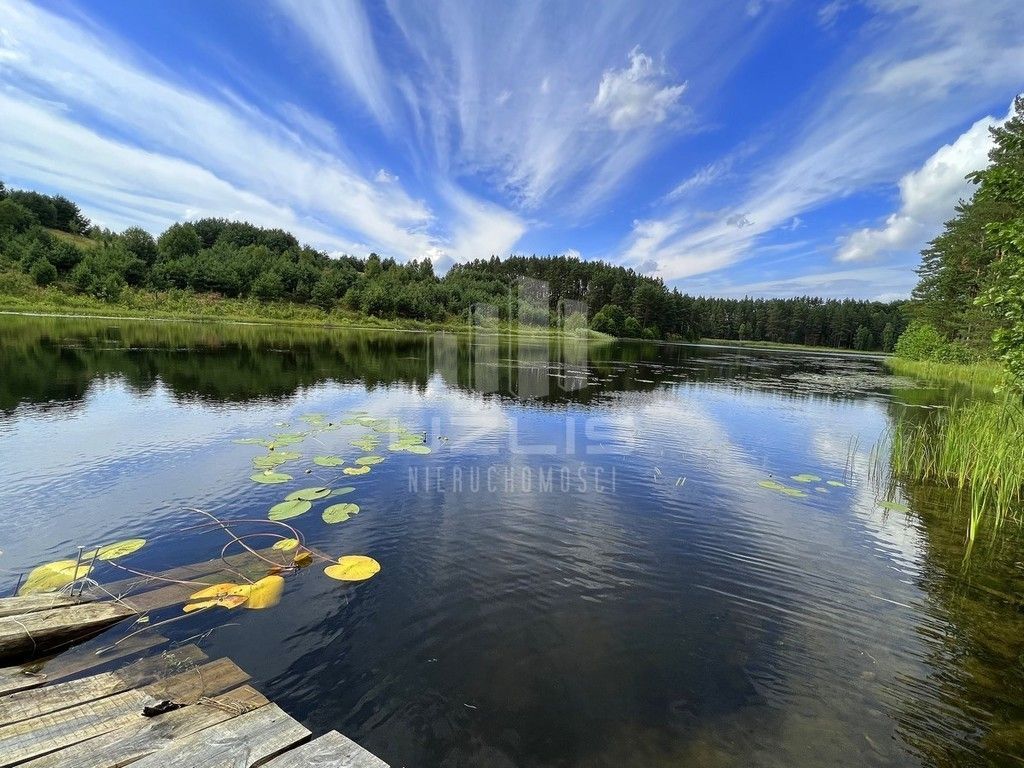 Działka z własnym Jeziorem, lasy Bory Tucholskie: zdjęcie 93429922