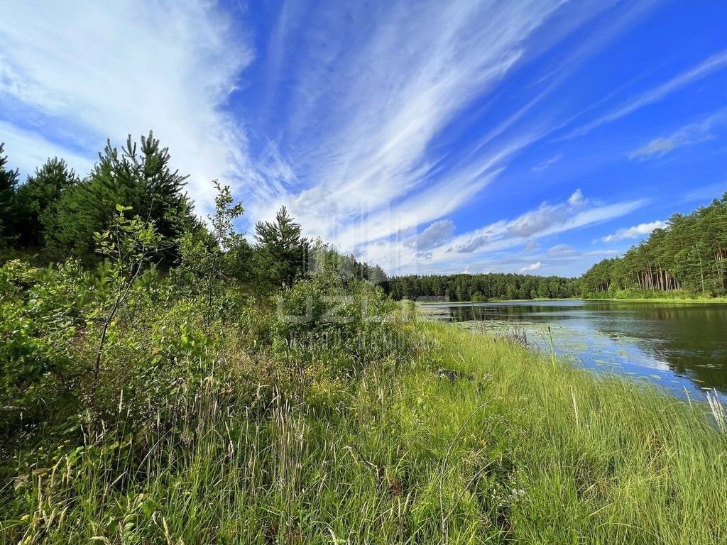 Działka z własnym Jeziorem, lasy Bory Tucholskie: zdjęcie 93429925