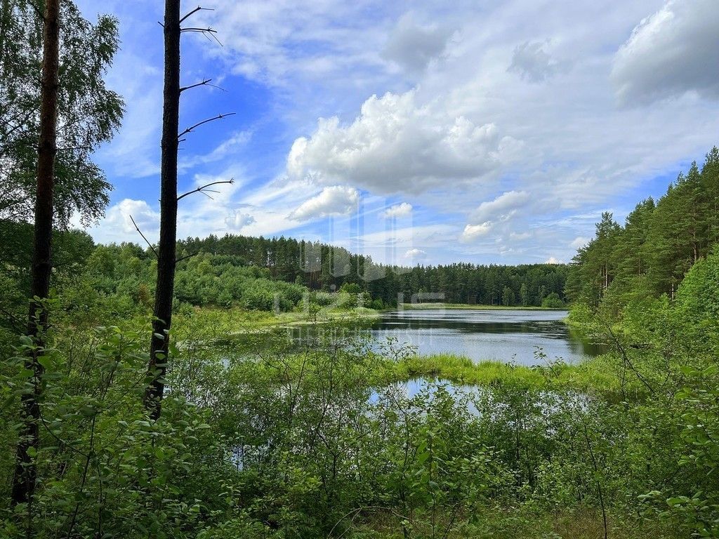 Działka otoczona lasem z własnym Jeziorem: zdjęcie 93647607