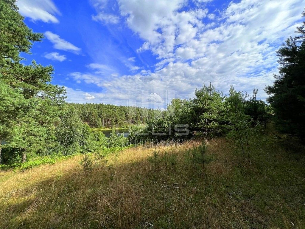 Działka z własnym Jeziorem, lasy Bory Tucholskie: zdjęcie 93429928