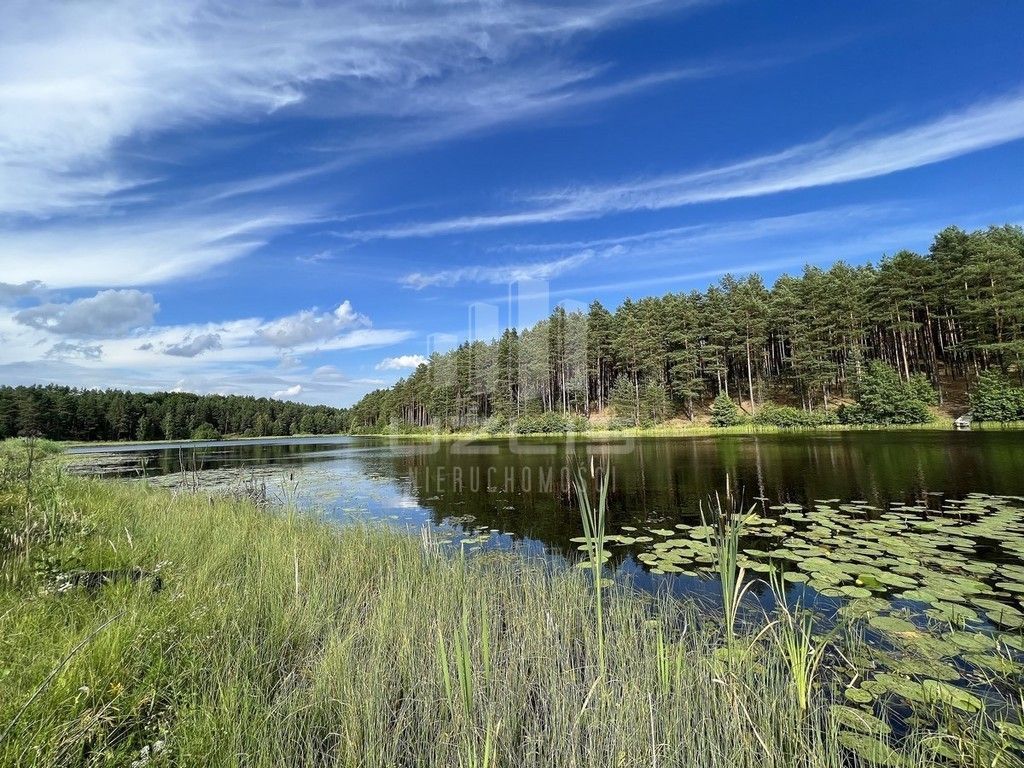 Działka z własnym Jeziorem, lasy Bory Tucholskie: zdjęcie 93429883