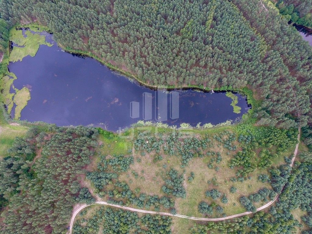Działka z własnym Jeziorem, lasy Bory Tucholskie: zdjęcie 93429896