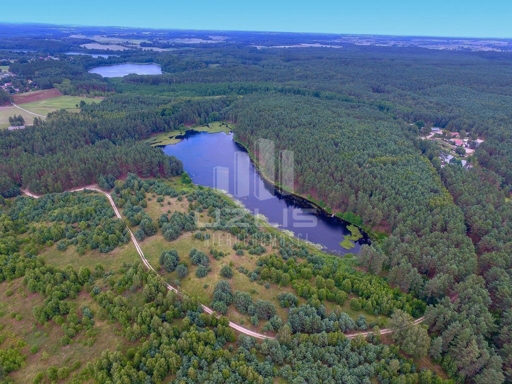 Działka z własnym Jeziorem, lasy Bory Tucholskie: zdjęcie 93429906