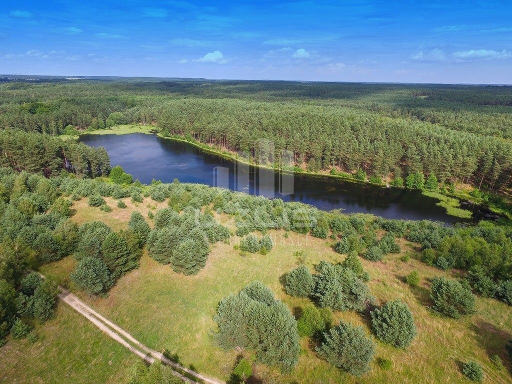 Działka z własnym Jeziorem, lasy Bory Tucholskie: zdjęcie 93429910