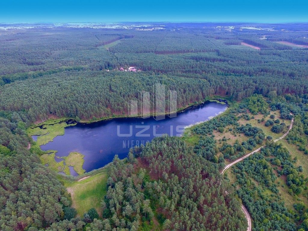 Działka otoczona lasem z własnym Jeziorem: zdjęcie 93647597