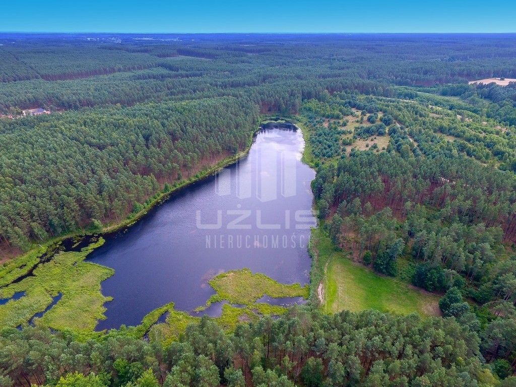 Działka z własnym Jeziorem, lasy Bory Tucholskie: zdjęcie 93429918