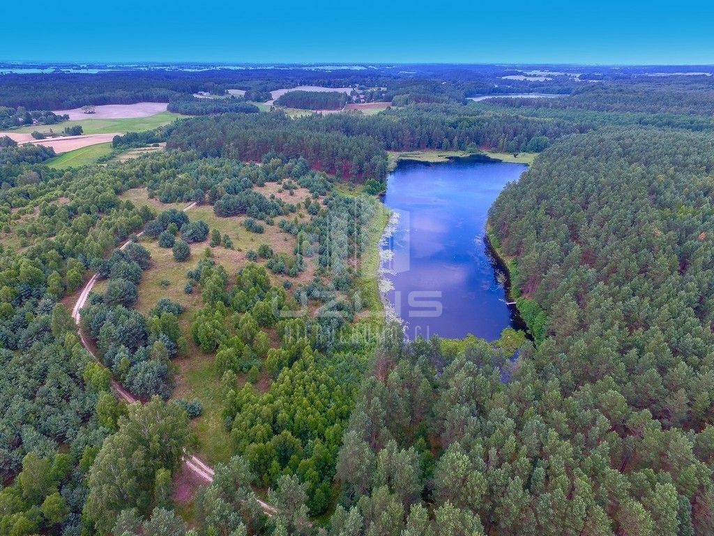 Działka z własnym Jeziorem, lasy Bory Tucholskie: zdjęcie 93429919