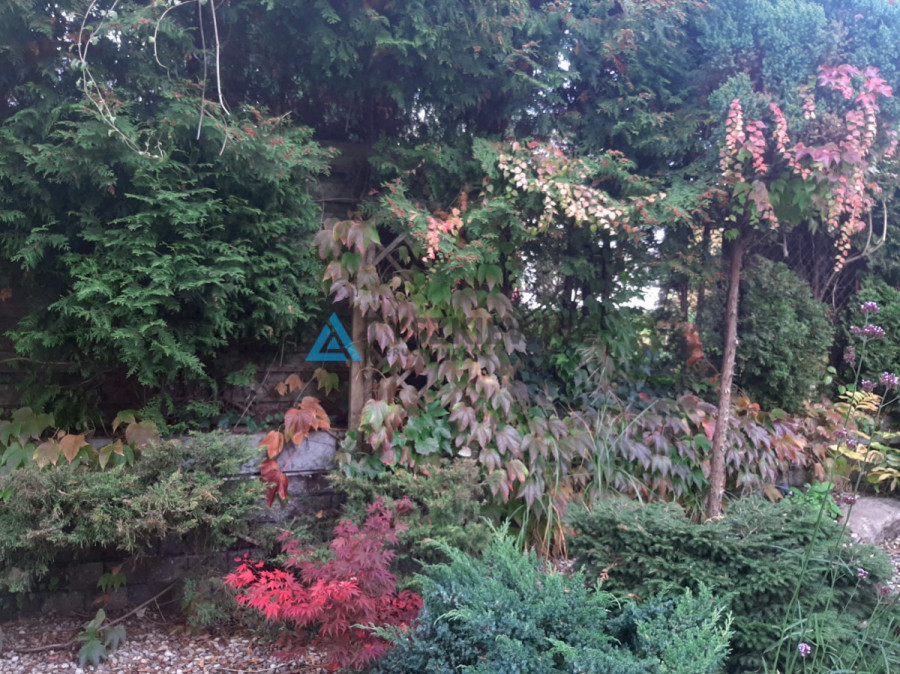 Przepiękny ogród, szereg skrajny.: zdjęcie 92097601