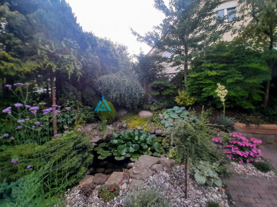 Przepiękny ogród, szereg skrajny.: zdjęcie 92097602