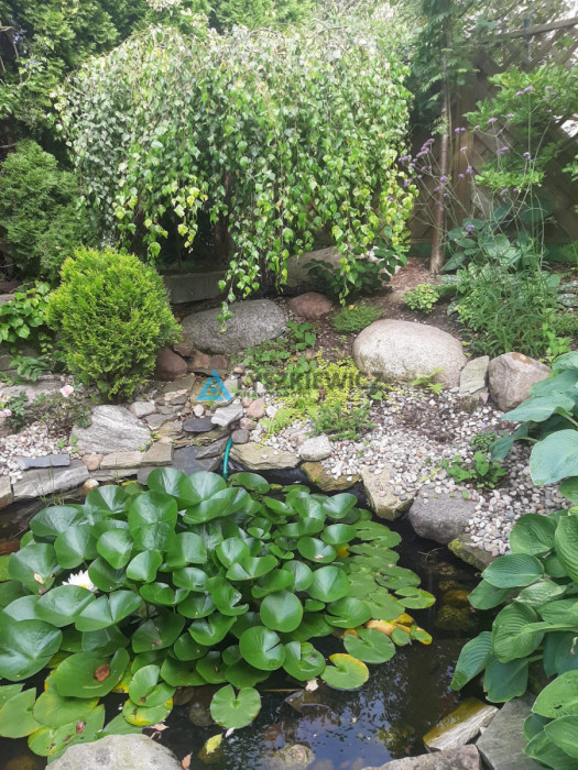 Przepiękny ogród, szereg skrajny.: zdjęcie 92487128