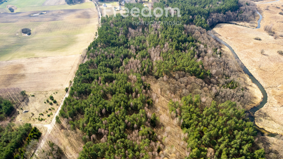 Czarnocin działka pod siedlisko w otoczeniu natury: zdjęcie 91329427