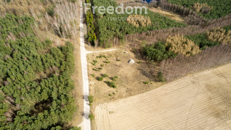 Czarnocin działka pod siedlisko w otoczeniu natury: zdjęcie 91329430