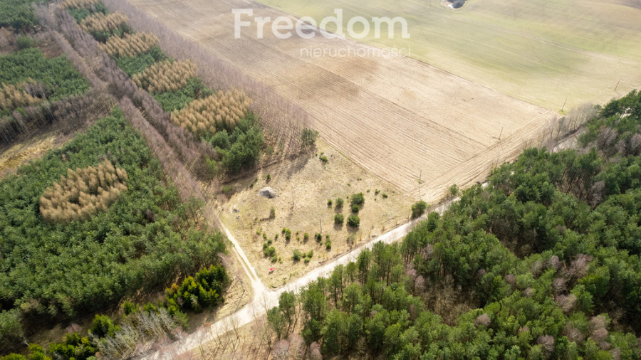 Czarnocin działka pod siedlisko w otoczeniu natury: zdjęcie 91329431
