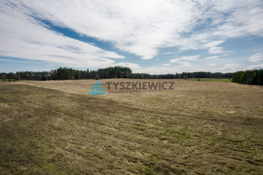 Działka Mściszewice gmina Sulęczyno: zdjęcie 92096422