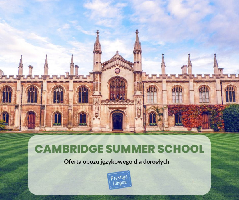 Cambridge Summer School - obóz językowy dla dorosłych: zdjęcie 91537617