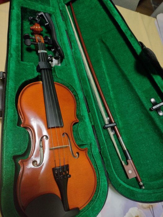Skrzypce 1/2 Vega Violin: zdjęcie 91564020