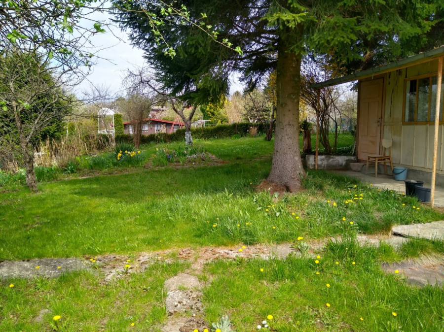 Ładny ogródek działkowy w Elblągu: zdjęcie 91574667