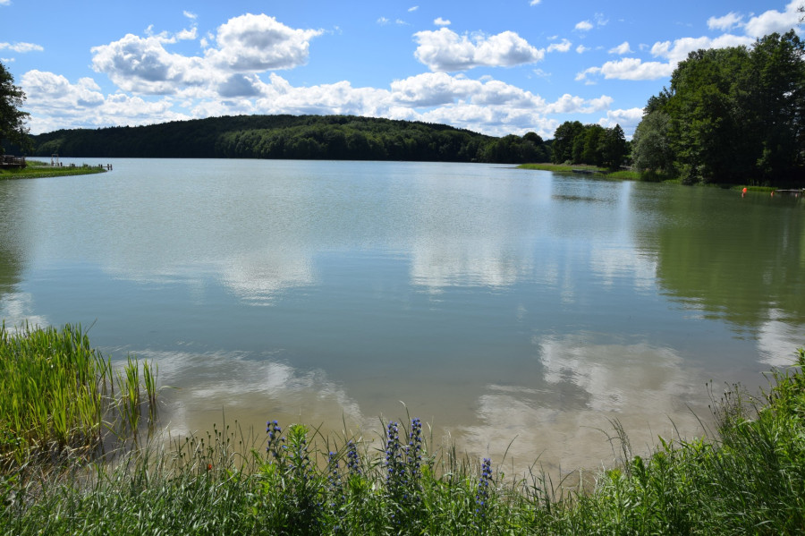 Nieruchomość z widokiem na jezioro - Szwajcaria Ka: zdjęcie 93142060