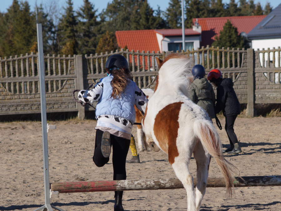 Półkolonie Konne jeździeckie jazda konna konie: zdjęcie 91767155
