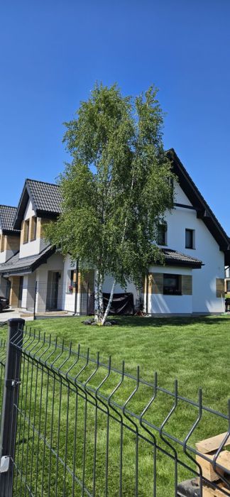 Dom Straszyn-Panorama Juszkowo-Arpol-House INV.: zdjecie 98707832