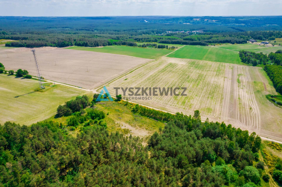 Działka rolna Dębnica Kaszubska 1 ha: zdjęcie 92196566