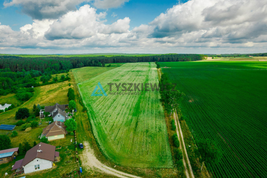 Działka rolna nad J. Trzebież, w Nożynie: zdjęcie 92103579