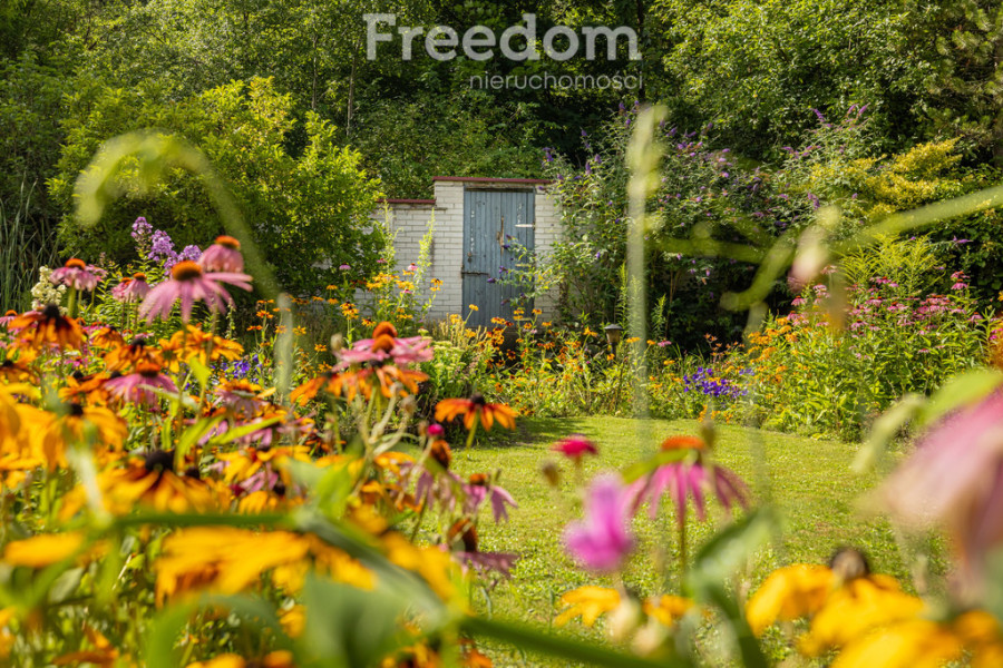 Duży dom z pięknym ogrodem... basen, las!: zdjęcie 92165527