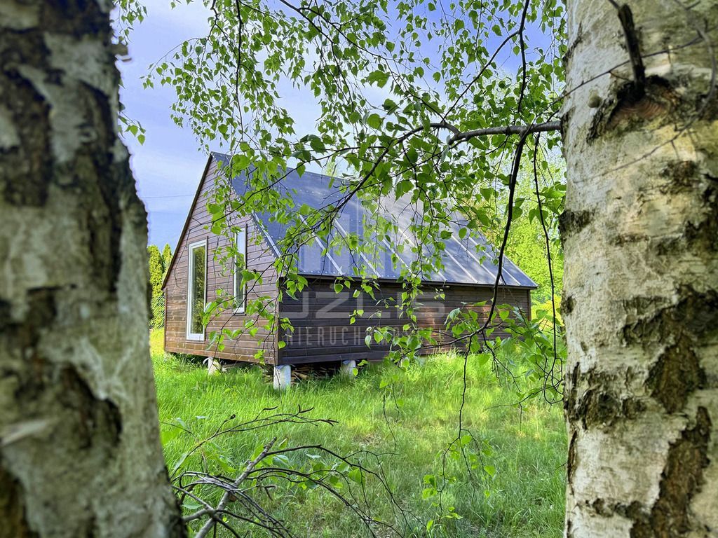 Dom drewniany, Bory Tucholskie, jezioro, las: zdjęcie 93887776