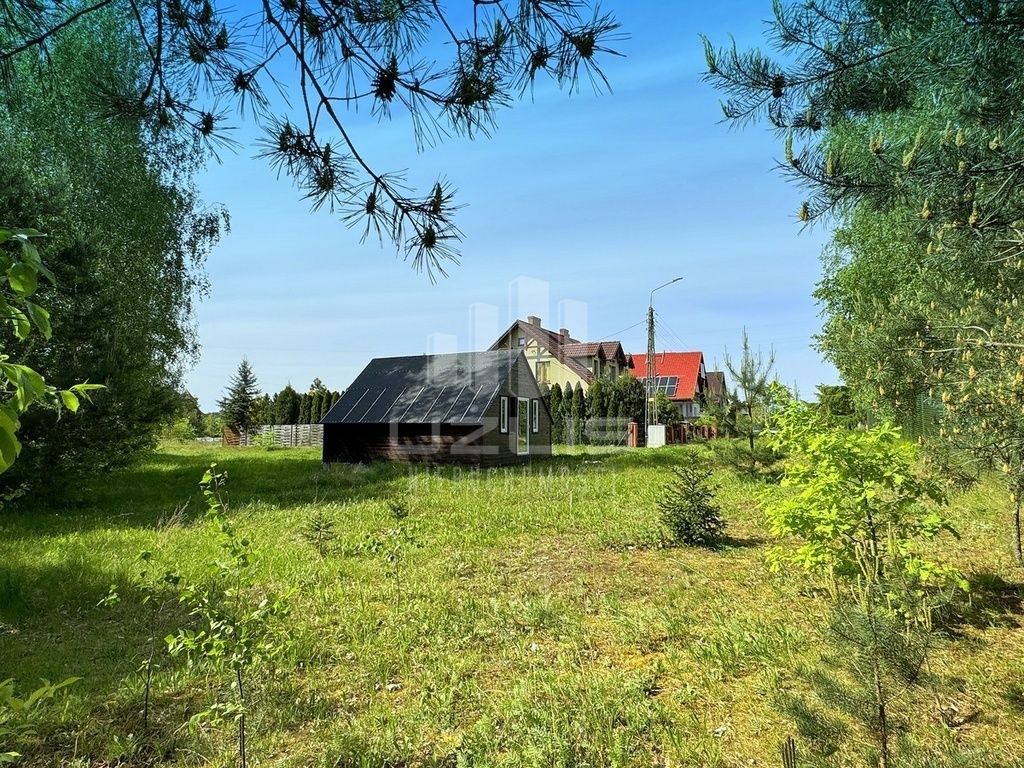 Dom drewniany, Bory Tucholskie, jezioro, las: zdjęcie 93887779