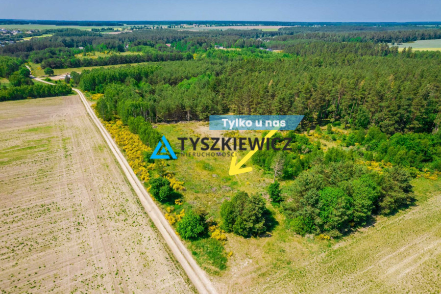 Działka rolna Dębnica Kaszubska 1 ha: zdjęcie 92595951