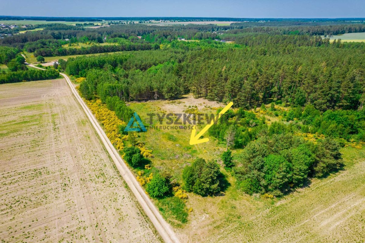 Działka rolna o pow. 1 ha  Dębnica Kaszubska: zdjęcie 94227683
