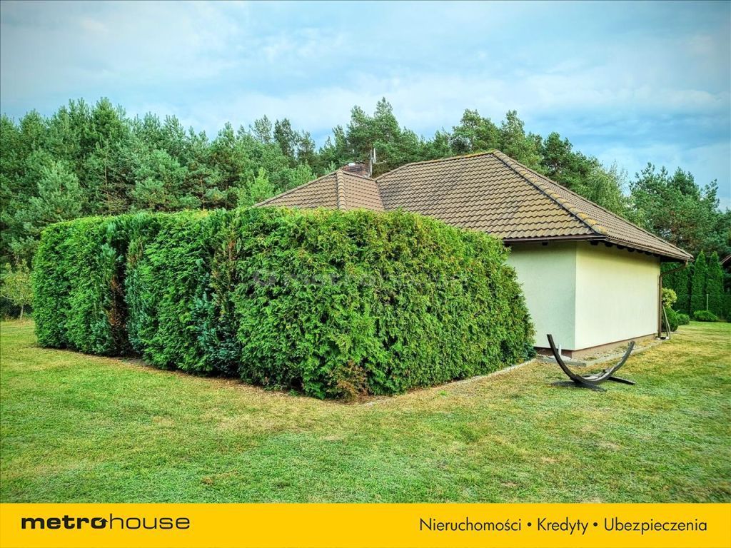 Piękny parterowy dom z dużym ogrodem koło Tczewa: zdjęcie 94325746