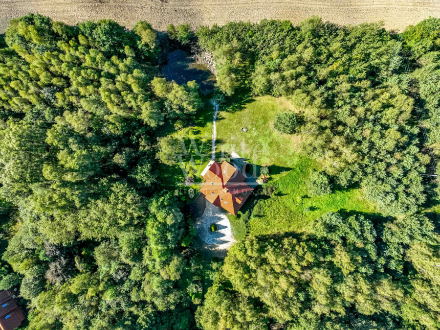 działka siedliskowa z lasem, 40' od Trójmiasta: zdjęcie 93003617
