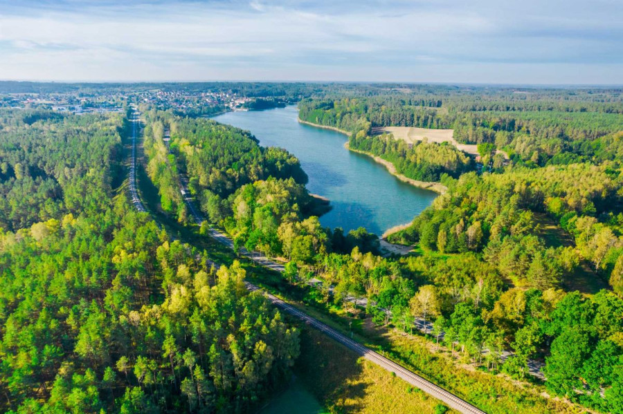 Działka leśna w Piechowicach: zdjęcie 92517820