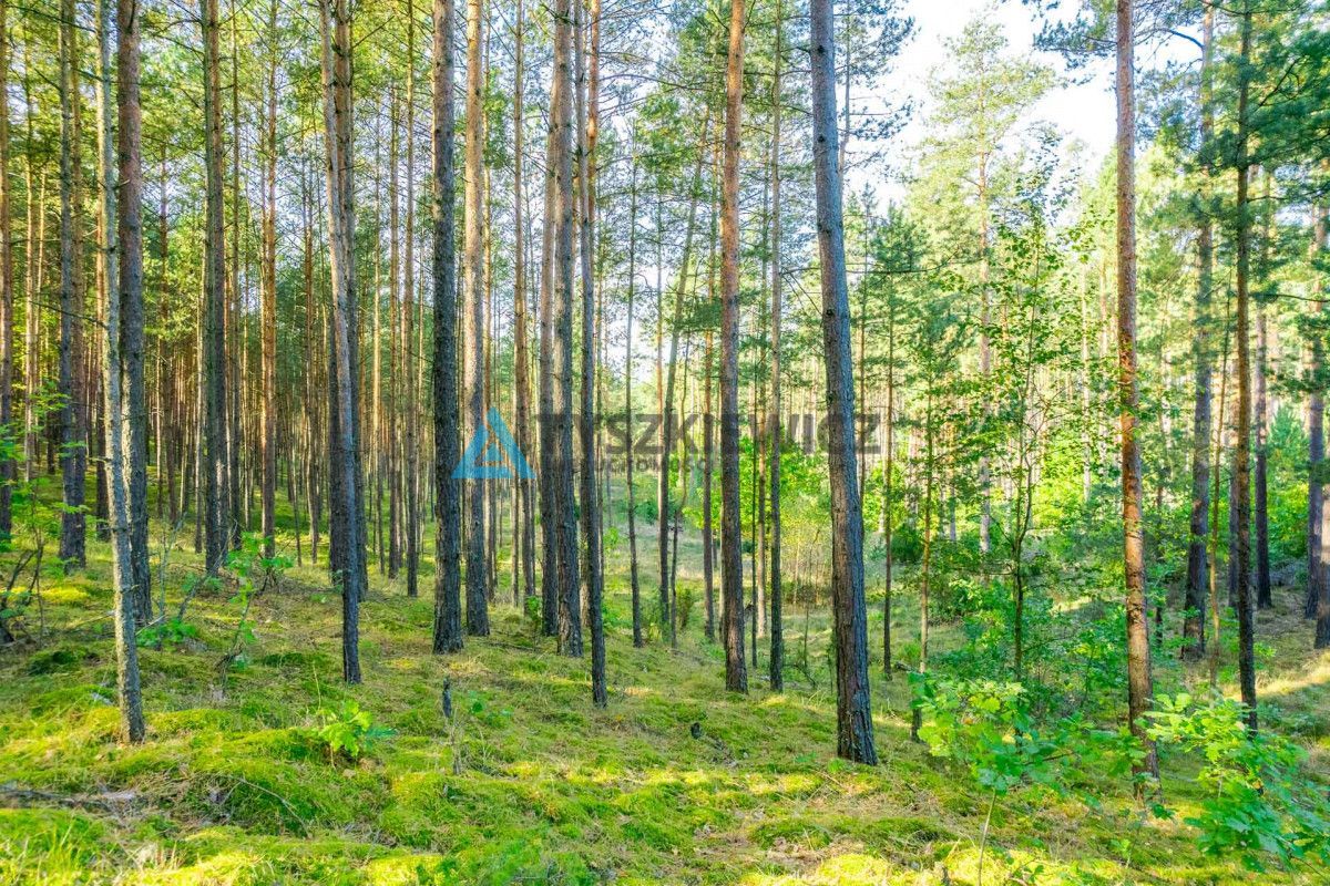 Działka leśna w Piechowicach: zdjęcie 93063637