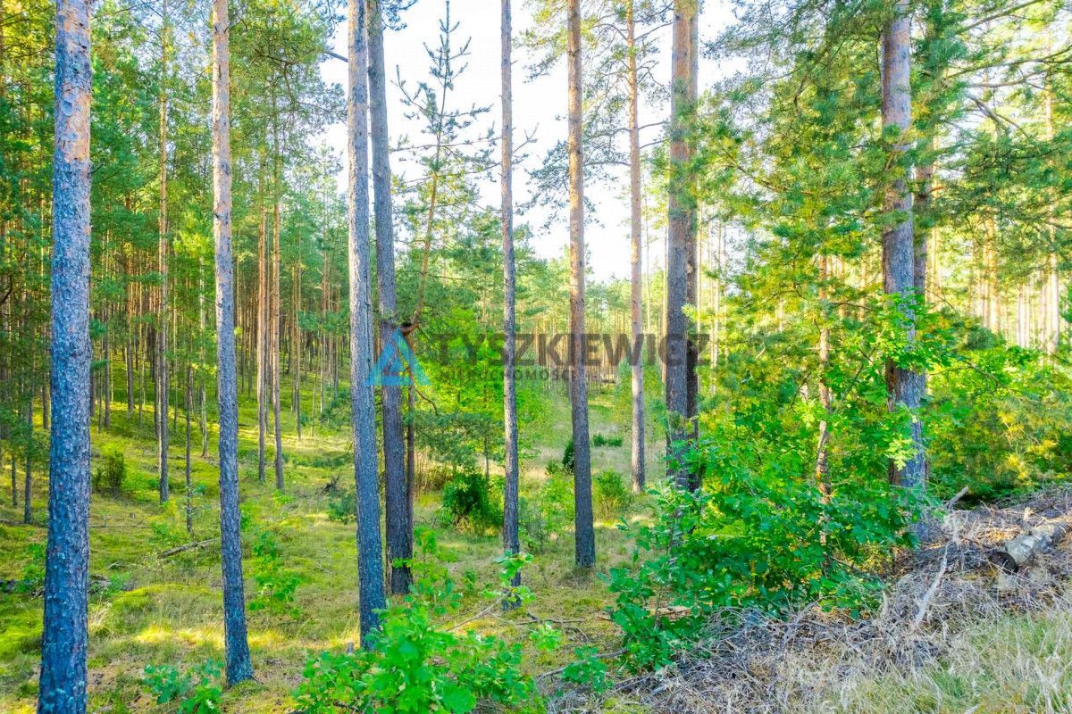 Działka leśna w Piechowicach: zdjęcie 93063638