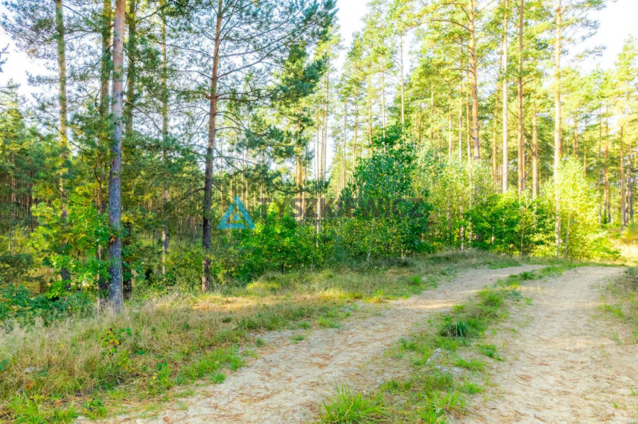 Działka leśna w Piechowicach: zdjęcie 92523805